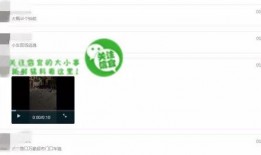 爆料的视频哪里看到,AI技术如何助力内容生成