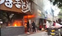 餐饮爆料视频大全集最新,视频大全集深度解析