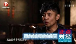 安徽卫视在线观看回放,在线回放重温经典
