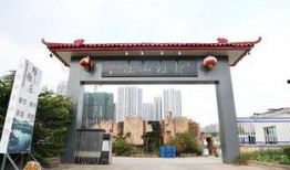 娱乐吃瓜酱临沂大学,娱乐吃瓜酱背后的故事