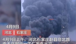 杭州工厂爆料事件视频曝光,揭露惊人内幕