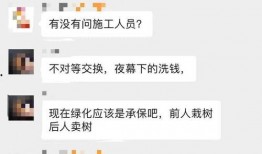 大树爆料视频