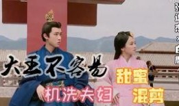 姜先生爆料大王视频大全,大王视频大全背后的惊人真相