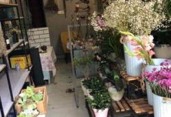 西昌最新爆料花店在哪里,探寻最新爆款的浪漫花店