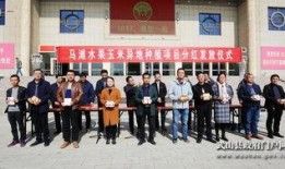 武山一中爆料新闻,校园新鲜事盘点