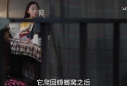 李易峰被小姐姐爆料视频,李易峰被小姐姐爆料视频引发热议