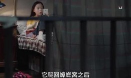李易峰被小姐姐爆料视频,李易峰被小姐姐爆料视频引发热议