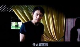 港媒爆料黎明简介视频,星光熠熠的传奇人生掠影
