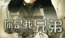 你是我兄弟在线观看,在线重温兄弟情深，共度青春岁月