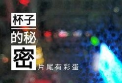 随风视频爆料最新消息,揭秘事件背后惊人真相