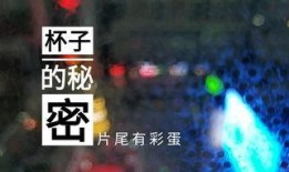 随风视频爆料最新消息,揭秘事件背后惊人真相
