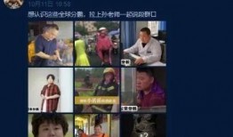 老岳最新爆料视频大全,视频大全背后的惊人真相