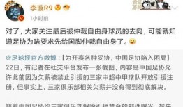 李璇爆料裁缝是哪一集视频,裁缝身份曝光，真相竟藏于这一集视频