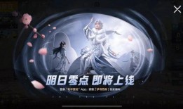 吃鸡衣服新爆料视频大全,揭秘最新爆料视频大全