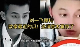 最新刘一飞爆料最近消息,揭秘娱乐圈惊人内幕