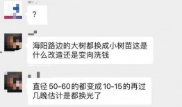 大树爆料视频