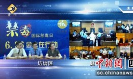 成都五台直播在线观看,实时领略蜀地风光与文化盛宴