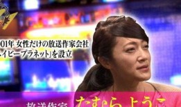 娱乐圈爆料227,揭秘背后真相与影响