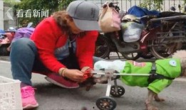 吃瓜车祸网红是谁啊视频,视频背后的惊人真相