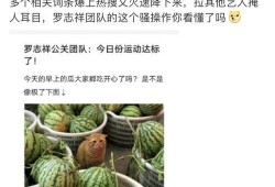 吃网红的瓜的网站,吃瓜网站带你领略网络红人幕后故事