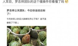 吃网红的瓜的网站,吃瓜网站带你领略网络红人幕后故事