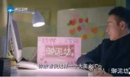 罗晋近期爆料视频播放,近期爆料视频背后的故事