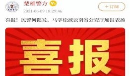 云上新闻爆料是真的吗,揭秘真相背后的疑云
