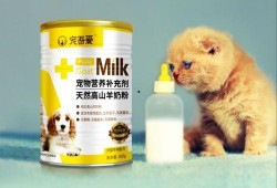 宠物羊奶粉爆料视频,从爆料视频看行业真相