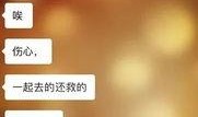 爆料后视频不见了吗