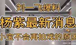 最新刘一飞爆料最近消息,揭秘娱乐圈惊人内幕