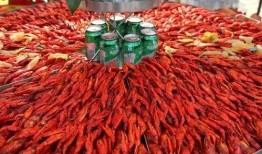厦门龙虾爆料视频播放大全,视频播放大全带你领略海鲜美味