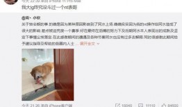 阿水表哥微博爆料视频,揭秘事件背后真相