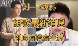 最新刘一飞爆料最近消息,揭秘娱乐圈惊人内幕
