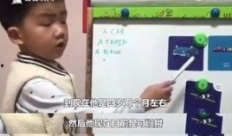 小男孩儿爆料视频播放,揭秘事件背后惊人真相