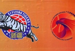 媒体人爆料周琦视频播放,媒体人爆料背后的真相