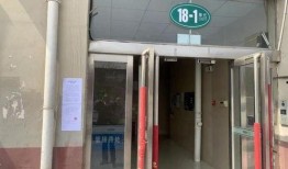 爆料卖惨夫妇是谁呀视频,视频背后的真实故事