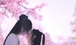 吻在花上全集在线观看,浪漫邂逅，花海中的爱情传奇