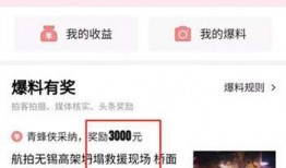 爆料的视频哪里看到,AI技术如何助力内容生成