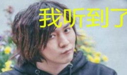 娱乐吃瓜酱用的哪个配音,揭秘配音背后的神秘魅力