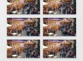 游乐场官方爆料视频下载,惊险刺激项目大曝光！