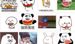 网络吃瓜免费观看,揭秘热门吃瓜节目观看攻略