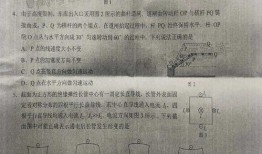 高中生物老师爆料视频是真的吗,高中生物老师爆料视频真实性揭秘