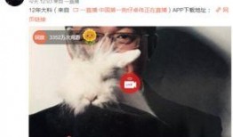 真实爆料白百何事件视频,真相与争议再起