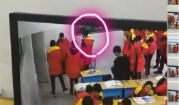 学生在校死亡爆料视频,学生离奇死亡事件引发社会关注