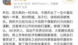台湾记者爆料汪小菲视频,揭秘背后惊人真相