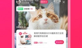 猫八卦主播爆料视频下载,热门视频幕后下载秘籍大公开